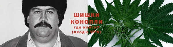 спайс Магас