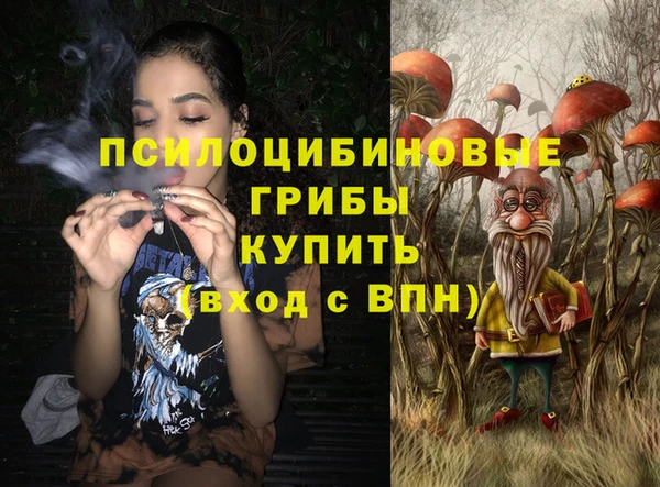 тгк Гусь-Хрустальный