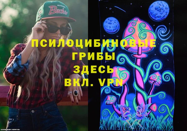 тгк Гусь-Хрустальный