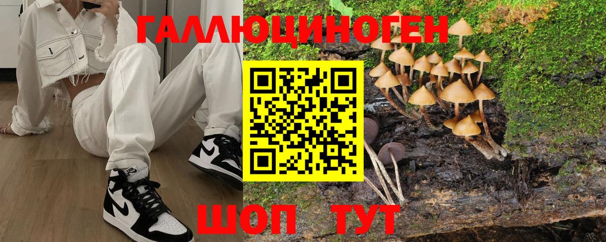 Галлюциногенные грибы ЛСД Анапа