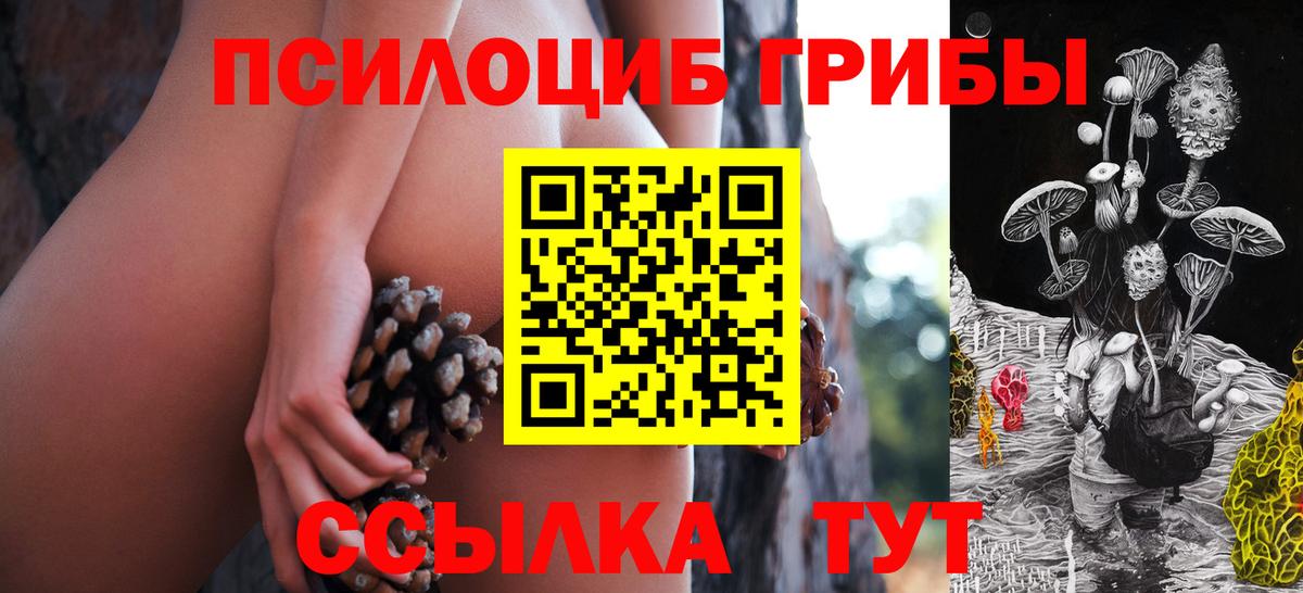 Псилоцибиновые грибы мицелий  Вход с VPN  Анапа  Псилоцибиновые грибы мухоморы 